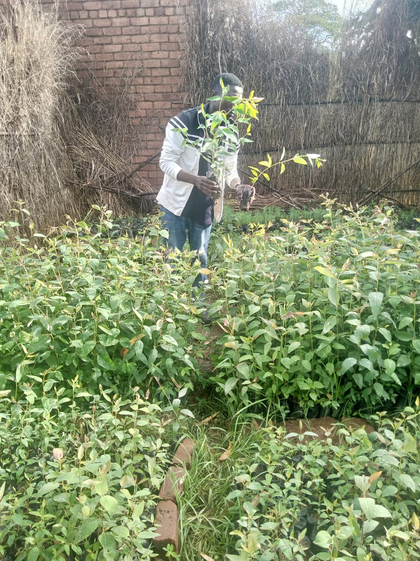 ENVIRONMENTAL CONSERVATION & WASH